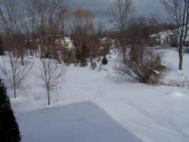 Back Yard East Snow 20070204.JPG (382965 bytes)