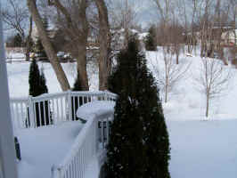 Back Yard West Snow 20070204.JPG (465877 bytes)