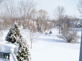 Our backyard winter wonderland.JPG (463954 bytes)