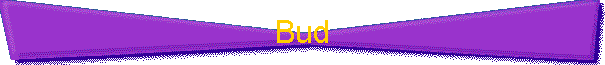 Bud