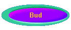 Bud