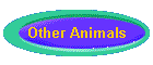 Other Animals