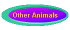 Other Animals