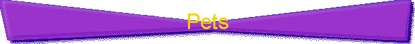 Pets